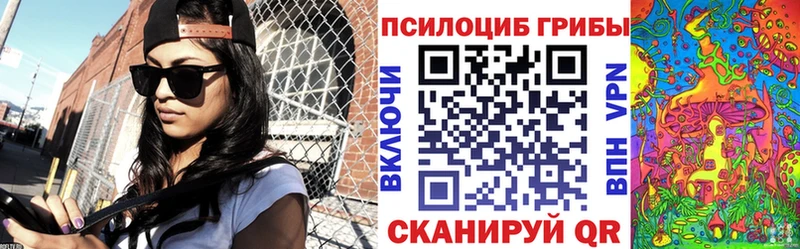 магазин  наркотиков  Нахабино  Псилоцибиновые грибы прущие грибы 