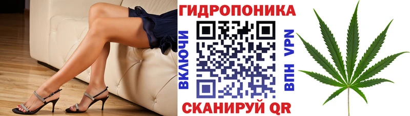 Марихуана сатива закладка omg как зайти Нахабино